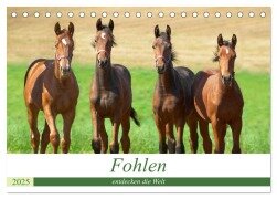 Fohlen entdecken die Welt (Tischkalender 2025 DIN A5 quer), CALVENDO Monatskalender - Kerstin Waurick