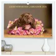 Liebenswerter Labrador 2026 (hochwertiger Premium Wandkalender 2026 DIN A2 quer), Kunstdruck in Hochglanz - Annett Mirsberger