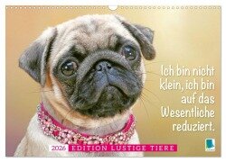 Cover-Bild zum Titel 'Der Mops: Nicht klein, sondern aufs Wesentliche reduziert. (Wandkalender 2026 DIN A3 quer), CALVENDO Monatskalender' von 'Calvendo Calvendo'