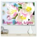 Tulpen, Tulips, Tulipes (hochwertiger Premium Wandkalender 2025 DIN A2 quer), Kunstdruck in Hochglanz - Gisela Kruse