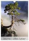 Bäume - Stilles Leben (Wandkalender 2024 DIN A4 hoch), CALVENDO Monatskalender - Jana Behr