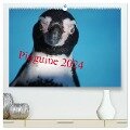Pinguine 2024 (hochwertiger Premium Wandkalender 2024 DIN A2 quer), Kunstdruck in Hochglanz - Ilka Groos