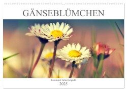 Gänseblümchen Poesie (Wandkalender 2025 DIN A2 quer), CALVENDO Monatskalender - Julia Delgado