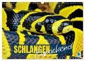 Schlangen: Zupackend (Wandkalender 2025 DIN A3 quer), CALVENDO Monatskalender - Calvendo Calvendo