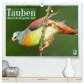 Tauben rund um die ganze Welt (hochwertiger Premium Wandkalender 2024 DIN A2 quer), Kunstdruck in Hochglanz - Calvendo Calvendo