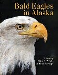 Bald Eagle in Alaska - 