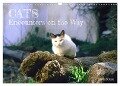 Cats - Encounters on the Way (Wall Calendar 2024 DIN A3 landscape), CALVENDO 12 Month Wall Calendar - Gisela Kruse