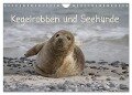 Kegelrobben und Seehunde (Wandkalender 2024 DIN A4 quer), CALVENDO Monatskalender - Antje Lindert-Rottke