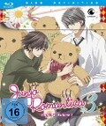 Junjo Romantica - Staffel 3 - Vol.1 - Blu-ray mit Sammelschuber (Limited Edition) - 