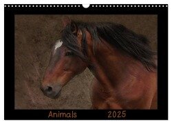 Animals (Wandkalender 2025 DIN A3 quer), CALVENDO Monatskalender - Claudia Möckel Lucy L!u