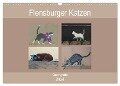 Flensburger Katzen (Wandkalender 2024 DIN A3 quer), CALVENDO Monatskalender - Martina Busch