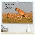 Faszination Afrika: Löwen (hochwertiger Premium Wandkalender 2024 DIN A2 quer), Kunstdruck in Hochglanz - Elmar Weiss