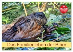 Das Familienleben der Biber (Tischkalender 2025 DIN A5 quer), CALVENDO Monatskalender - Kattobello Kattobello