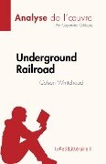 Underground Railroad de Colson Whitehead (Analyse de l'oeuvre) - Cassandra Gibbons