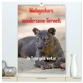 Madagaskars wundersame Tierwelt - die Reise geht weiter (hochwertiger Premium Wandkalender 2024 DIN A2 hoch), Kunstdruck in Hochglanz - Antje Hopfmann