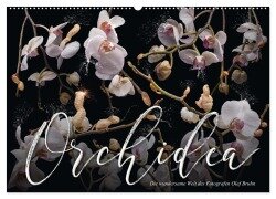 Orchidea (Wandkalender 2026 DIN A2 quer), CALVENDO Monatskalender - Olaf Bruhn