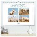 Lichtbringer - Österreichisch-Ungarische Barockesel (hochwertiger Premium Wandkalender 2025 DIN A2 quer), Kunstdruck in Hochglanz - Meike Bölts