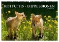 Rotfuchs - Impressionen (Wandkalender 2024 DIN A2 quer), CALVENDO Monatskalender - Susanne Danegger