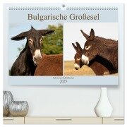 Bulgarische Großesel - Schwarze Schönheiten (hochwertiger Premium Wandkalender 2025 DIN A2 quer), Kunstdruck in Hochglanz - Meike Bölts
