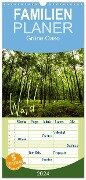 Familienplaner 2024 - Wald mit 5 Spalten (Wandkalender, 21 x 45 cm) CALVENDO - Frauke Gimpel