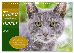 Tiere und feiner Humor (Wandkalender 2026 DIN A4 quer), CALVENDO Monatskalender - Rainer Plett