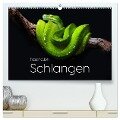 Faszination Schlangen (hochwertiger Premium Wandkalender 2025 DIN A2 quer), Kunstdruck in Hochglanz - M. Scott