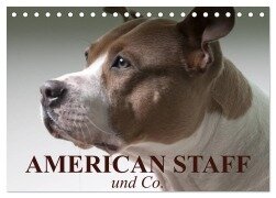 American Staff und Co. (Tischkalender 2025 DIN A5 quer), CALVENDO Monatskalender - Elisabeth Stanzer