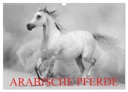 Arabische Pferde (Wandkalender 2025 DIN A3 quer), CALVENDO Monatskalender - Elisabeth Stanzer