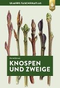 Knospen und Zweige - Bernd Schulz