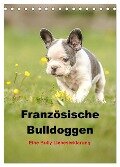 Französische Bulldoggen - Eine Bully Liebeserkärung (Tischkalender 2024 DIN A5 hoch), CALVENDO Monatskalender - Yvonne Obermüller