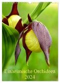 Einheimische Orchideen (Wandkalender 2024 DIN A3 hoch), CALVENDO Monatskalender - Wiltrud Haas