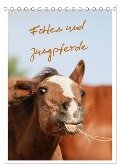 Fohlen und Jungpferde (Tischkalender 2024 DIN A5 hoch), CALVENDO Monatskalender - Barbara Mielewczyk