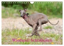 Windspiel Schönheiten (Wandkalender 2026 DIN A4 quer), CALVENDO Monatskalender - Angelika Joswig