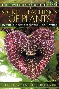 The Secret Teachings of Plants - Stephen Harrod Buhner