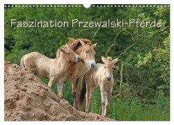 Cover-Bild zum Titel 'Faszination Przewalski-Pferde (Wandkalender 2026 DIN A3 quer), CALVENDO Monatskalender' von 'Antje Lindert-Rottke'