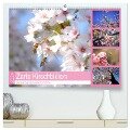 Zarte Kirschblüten - Berauschende Gedankendüfte (hochwertiger Premium Wandkalender 2024 DIN A2 quer), Kunstdruck in Hochglanz - Bettina Hackstein