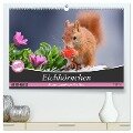 Eichhörnchen Momentaufnahmen fürs Herz (hochwertiger Premium Wandkalender 2024 DIN A2 quer), Kunstdruck in Hochglanz - Tine Meier