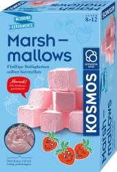 Das Mahnwesen einfach erklärt: Ablauf, Gebühren & Tipps