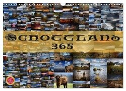 Schottland 365 (Wandkalender 2025 DIN A3 quer), CALVENDO Monatskalender - Martina Cross