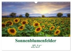 Sonnenblumenfelder (Wandkalender 2025 DIN A3 quer), CALVENDO Monatskalender - Gierok, Steffen Magic Artist Design