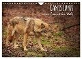 Canis Lupus - unser Freund der Wolf (Wandkalender 2024 DIN A4 quer), CALVENDO Monatskalender - Alexandra Hollstein
