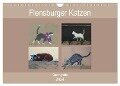 Flensburger Katzen (Wandkalender 2024 DIN A4 quer), CALVENDO Monatskalender - Martina Busch
