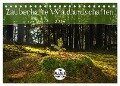 Zauberhafte Waldlandschaften (Tischkalender 2024 DIN A5 quer), CALVENDO Monatskalender - Marcel Wenk