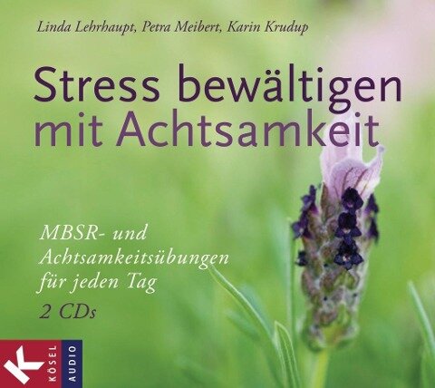 Stress bewältigen mit Achtsamkeit - Linda Lehrhaupt, Petra Meibert, Karin Krudup