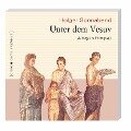 Unter dem Vesuv (Ungekürzt) - Holger Sonnabend