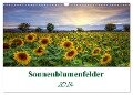 Sonnenblumenfelder (Wandkalender 2024 DIN A3 quer), CALVENDO Monatskalender - Gierok, Steffen Magic Artist Design