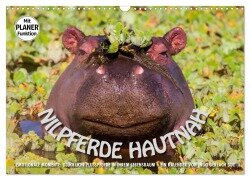 Emotionale Momente: Nilpferde hautnah (Wandkalender 2025 DIN A3 quer), CALVENDO Monatskalender - Ingo Gerlach GDT
