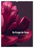 Die Königin der Rosen (Wandkalender 2024 DIN A2 hoch), CALVENDO Monatskalender - Susanne Stark Sugarsweet - Photo