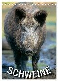Schweine 2024 (Tischkalender 2024 DIN A5 hoch), CALVENDO Monatskalender - 