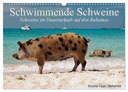 Schwimmende Schweine (Wandkalender 2025 DIN A3 quer), CALVENDO Monatskalender - Elisabeth Stanzer